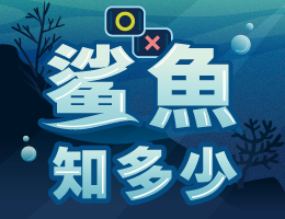 啟英高中-鯊魚知多少（112專班）