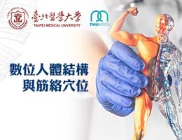 大園高中-數位人體結構及經絡穴位（114專班）